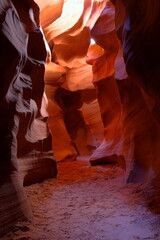 IMG 0268 9-2