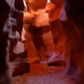 IMG 0268 9-2