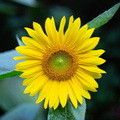 1Z8A9682-8x10
